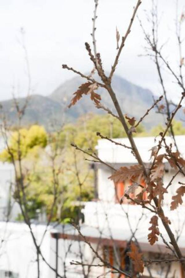 Church Street Luxury Apartments Stellenbosch Extérieur photo