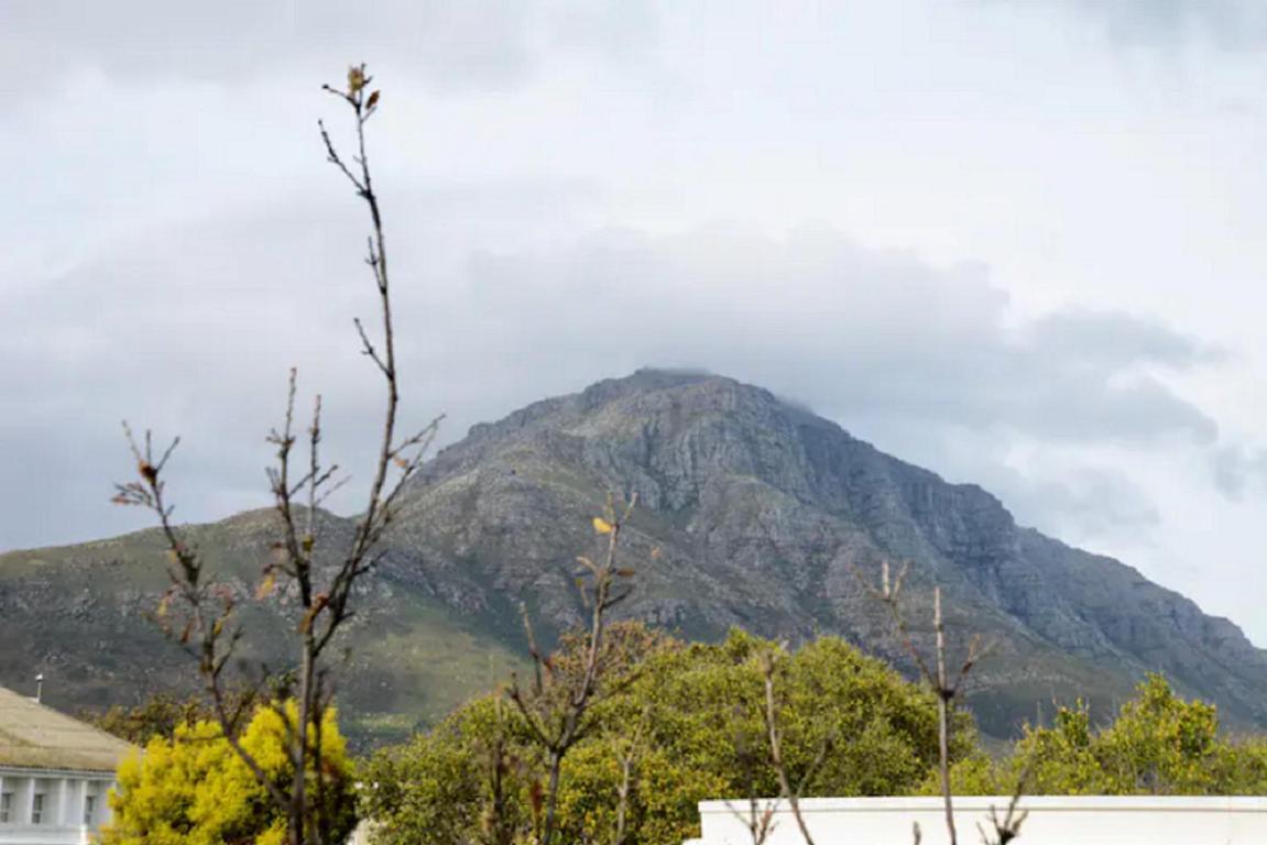 Church Street Luxury Apartments Stellenbosch Extérieur photo